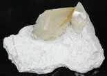 Gemmy, Twinned Calcite Crystals on Barite - Elmwood #33806-2